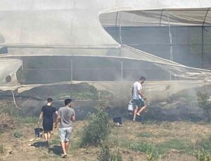 Serik’te korkutan yangında seralar zarar gördü