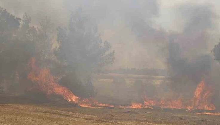 Antalya Aksu’daki orman yangını kontrol altına alındı