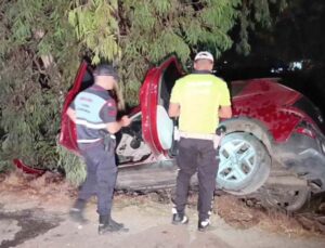 Otomobil ağaca çarptı, 2 kişi ağır yaralandı