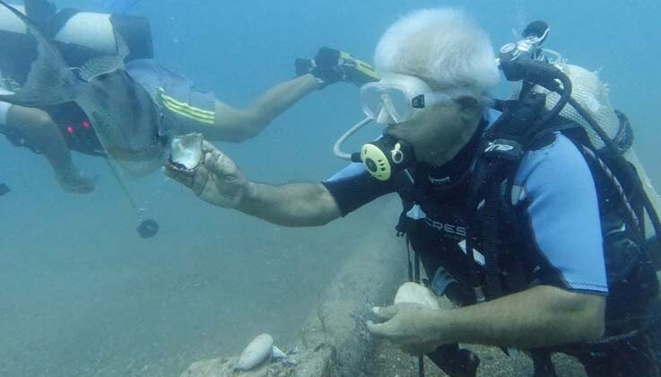 Su altında midyeyle domuz balığını besleyen profesör, ani saldırıyla neye uğradığını şaşırdı