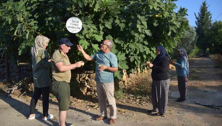 Ağaçtan incir yiyenlerden astığı yazı ile şehitlerin ruhuna Fatiha istedi