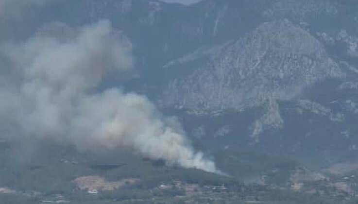 Antalya’da orman yangını