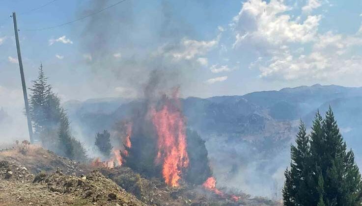 Alanya’da makilik alanda çıkan yangın ormana sıçramadan söndürüldü