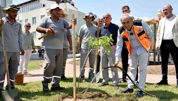 Yenilenen parka ilk ağaç fidanı Kocagöz’den