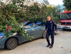 Antalya’da fırtınaya dayanamayan ağaç park halindeki aracın üzerine devrildi