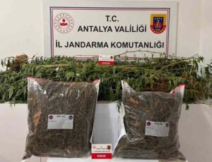 Alanya’da narkotik operasyonları
