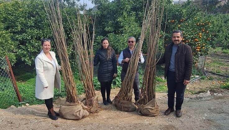 Alanya’da 7 üreticiye dut fidanı desteği