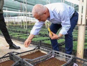 Alanya Belediyesi bitki üretiminde yüzde 50 tasarruf sağlandı