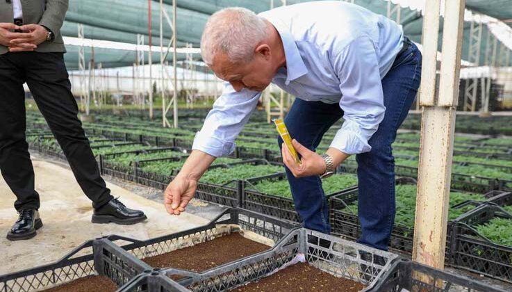 Alanya Belediyesi bitki üretiminde yüzde 50 tasarruf sağlandı
