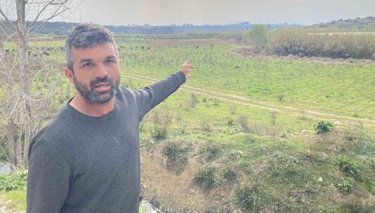 Keçilerini otlatan çobana silahlı saldırı: 1 keçi telef, 1 keçi yaralı