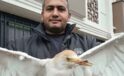 Akseki’de yaralı Sığır Balıkçıl kuşu bulundu