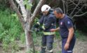 Serik’te ağlara dolanan yılanı itfaiye kurtardı