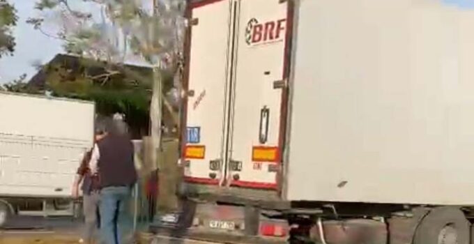 Gazipaşa’da sebze yüklü tır refüjdeki palmiye ağacına çarptı: 1 yaralı
