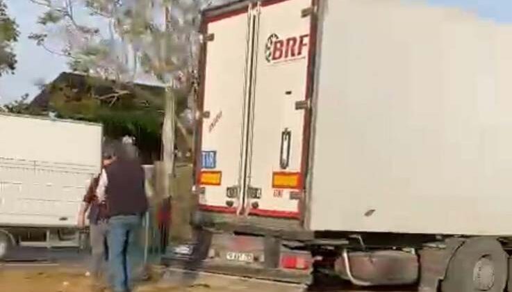 Gazipaşa’da sebze yüklü tır refüjdeki palmiye ağacına çarptı: 1 yaralı
