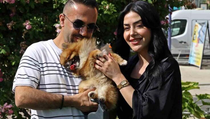 Güzellik yarışmasında birinci seçilip kaybolan köpek bulundu, sahipleri sevince boğuldu