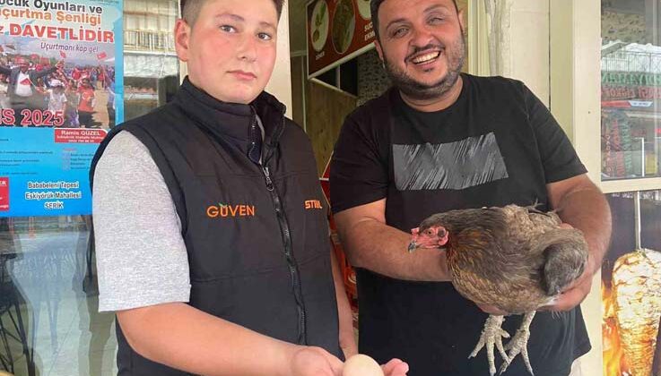 Tavuğun cesareti dönerciyi şaşkına çevirdi: Yumurtlamak için tavuk dönerciyi seçti