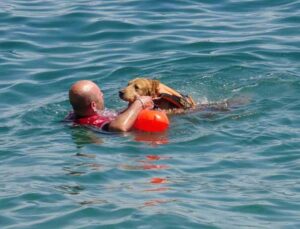 Türkiye’nin ilk sivil sualtı kurtarma köpeği Zeyna, görev için gün sayıyor
