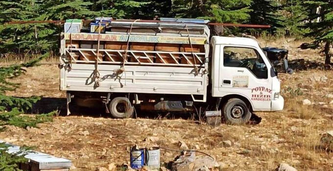 Gazipaşa’da arıcıların yayla mesaisi başlıyor