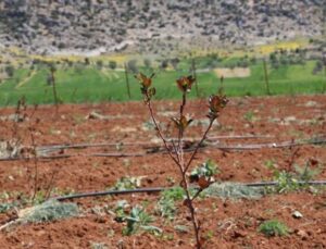 Antalya’da tarımsal sulama projeleriyle tersine göç hızlandı