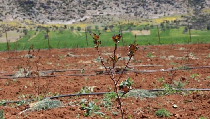Antalya’da tarımsal sulama projeleriyle tersine göç hızlandı