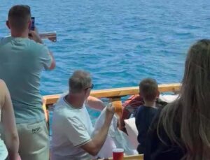 Side açıklarında Akdeniz foku görüntülendi, turistler hayretler içinde izledi