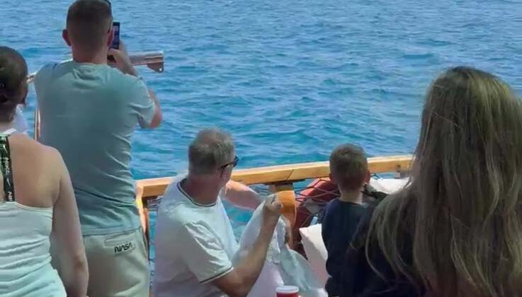Side açıklarında Akdeniz foku görüntülendi, turistler hayretler içinde izledi