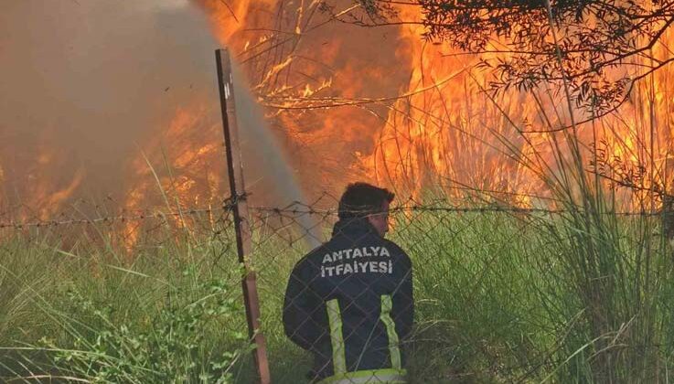 Antalya’da itfaiye erleri alevlerle burun buruna kaldı, bir adım geri atmadılar