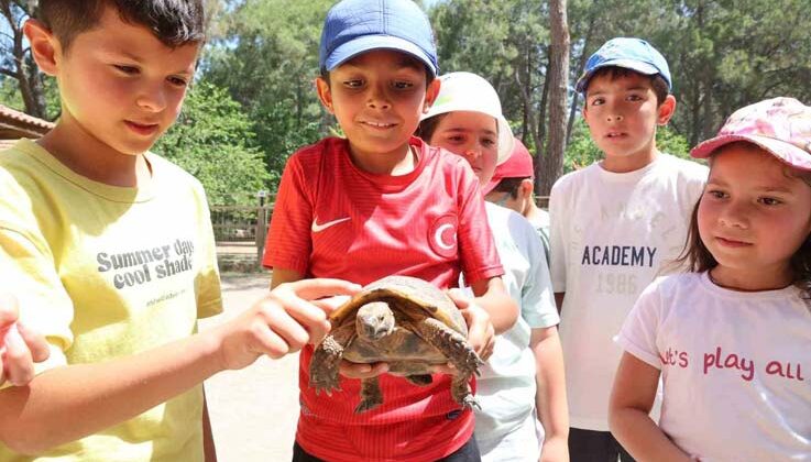 Kaplumbağaları inceleyip hem öğrendiler hem eğlendiler