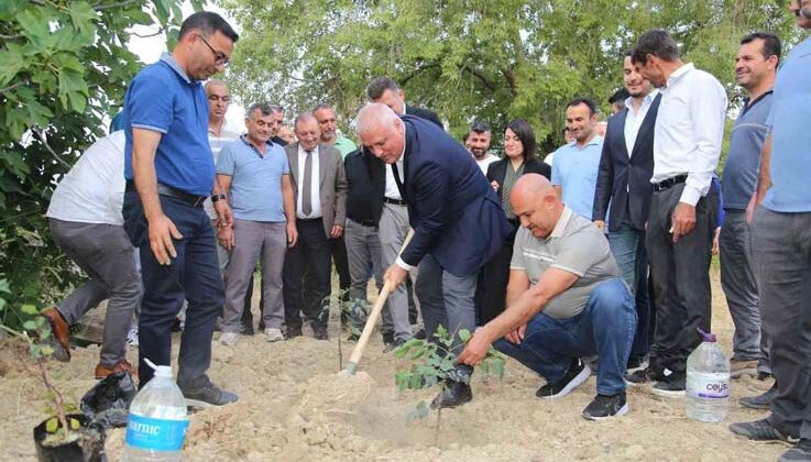 ALTSO keçiboynuzunun tescilini aldı, 3 bin fidan dağıttı