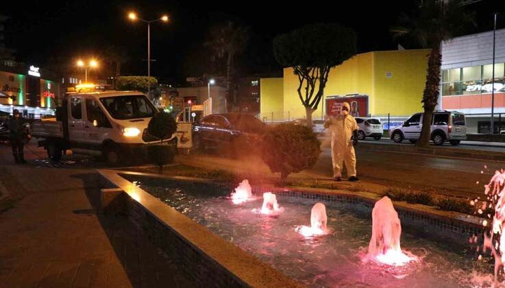 Alanya’da yeşil alanlarda zirai mücadele