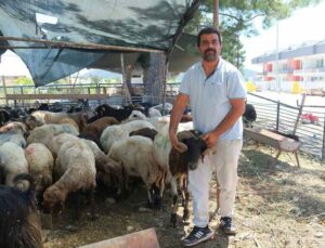 Kemer Belediyesi’nde kurban satış alanlarında denetim
