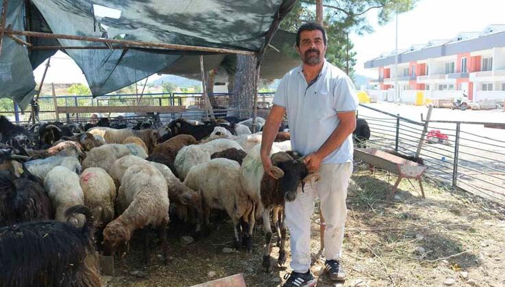 Kemer Belediyesi’nde kurban satış alanlarında denetim
