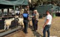 Gazipaşa’da polis ekipleri sahte para ve dolandırıcılığa karşı vatandaşları uyardı