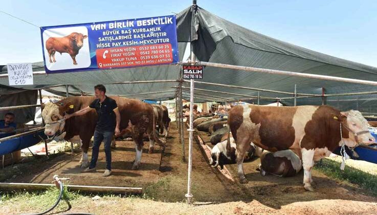 Kepez’de 9 noktada kurban kesim alanı
