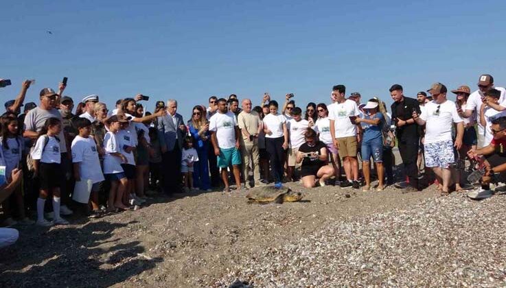 Antalya’da deniz kaplumbağaları çip takılarak denize uğurlandı
