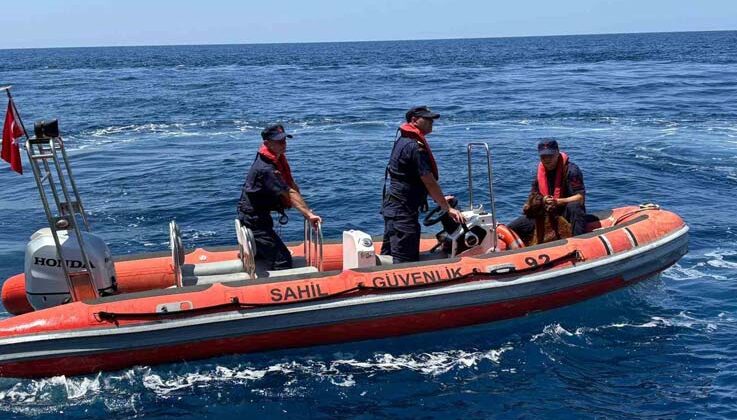 Alanya Kalesi’nde kayalık bölgede mahsur kalan dağ keçisi kurtarıldı