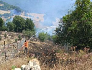 Antalya’da ormanlık alanı tehdit eden yangına müdahale ediliyor