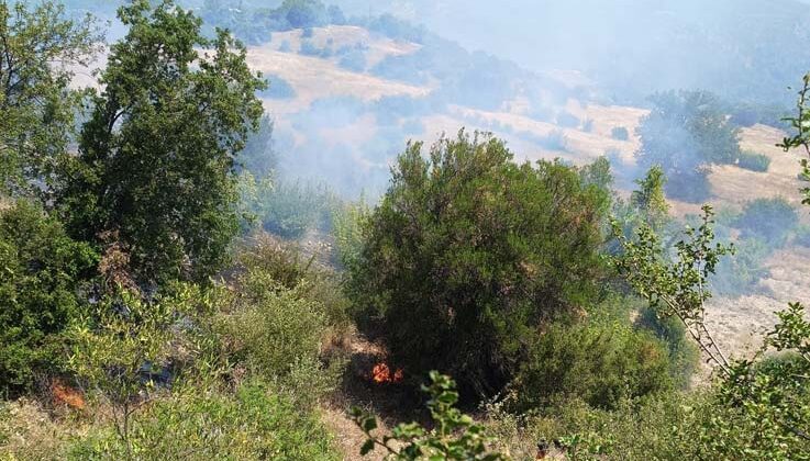 Antalya’da ormanı tehdit eden yangın kontrol altına alındı