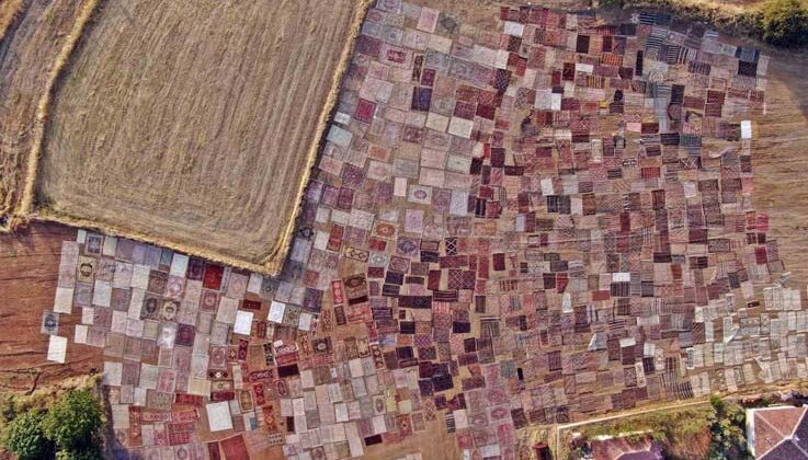 Tarlalarda milyonluk halı nöbeti başladı