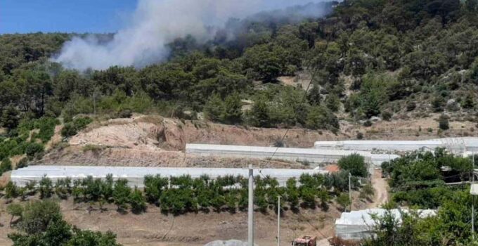 Antalya’da orman yangını