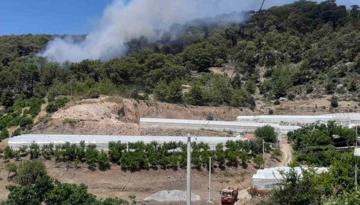 Antalya’da orman yangını