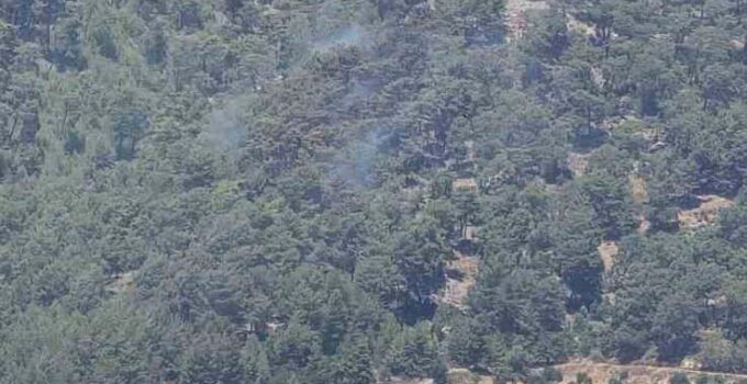 Antalya’daki orman yangını kontrol altına alındı