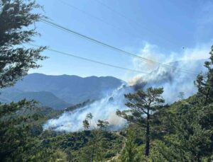 Antalya’da 2 ilçede orman yangını