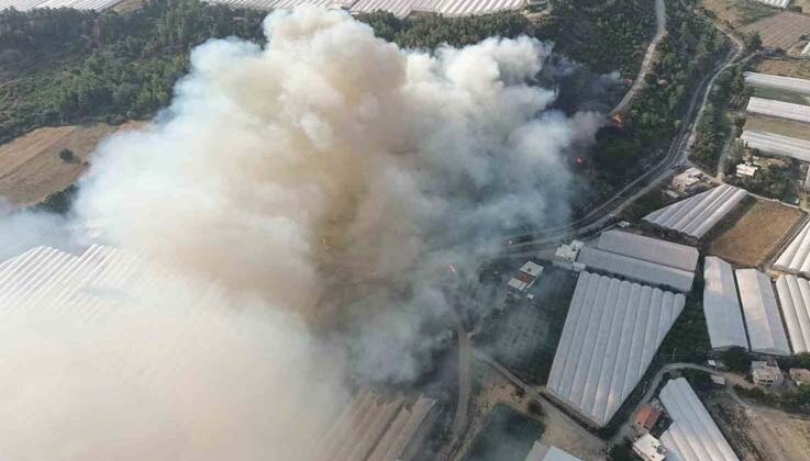 Antalya’da orman yangını