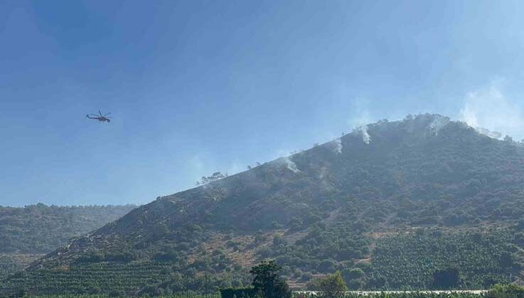 Antalya’daki orman yangını 3 saatte kontrol altına alındı