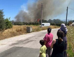 Antalya’da ormanlık alanda yangın
