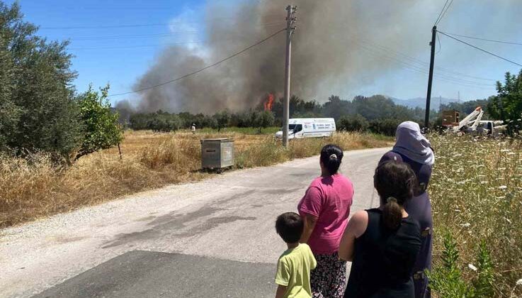 Antalya’da ormanlık alanda yangın