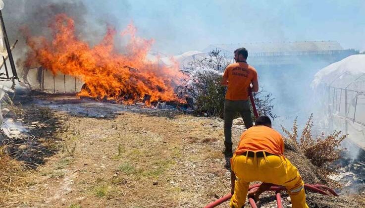 Serik’te çalılıklarda başlayan yangın 2 seraya zarar verdi