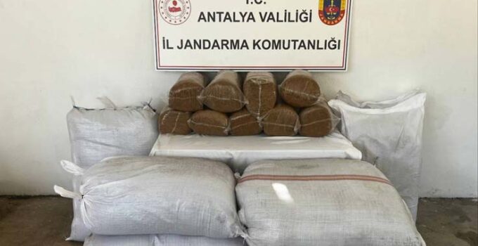 Gazipaşa’da 800 kilo bandrolsüz tütün ele geçirildi