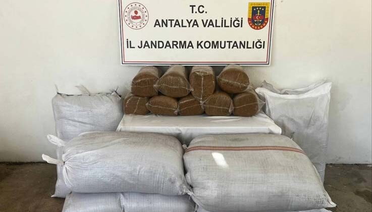 Gazipaşa’da 800 kilo bandrolsüz tütün ele geçirildi